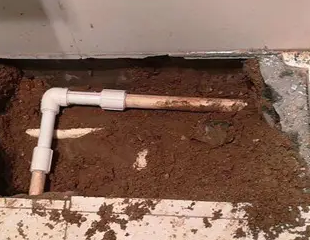 德钦测漏水哪家好