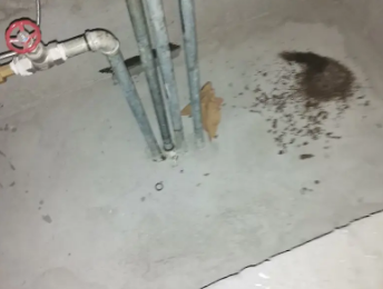 德钦卫生间测漏水价格明细